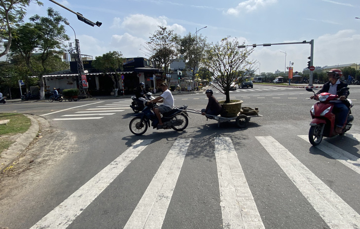 Những gốc mai, đào, quất... được chở đi muôn nơi giữa phố phường, khiến không khí Tết chộn rộn - Ảnh: B.D.