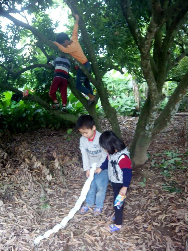 Mấy đứa nhỏ theo người lớn ra vườn cắt lá dong, vui đùa dưới gốc vải.