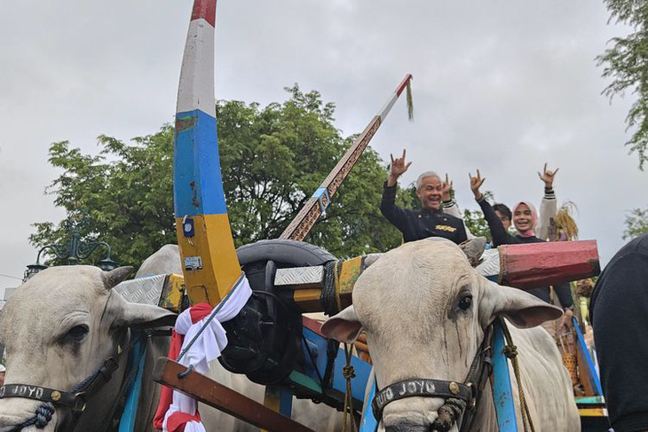 Ứng viên tổng thống Ganjar Pranowo (áo đen, giữa) cưỡi xe bò đến nơi tổ chức mít tinh với hàng ngàn người dân tham gia - Ảnh: kompas.com