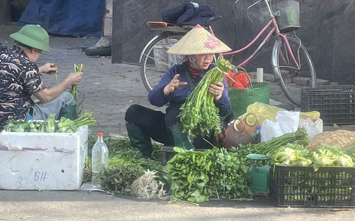 Giá rau xanh mùng 2 Tết ở Hà Nội tăng gấp 2 - 3 so với ngày thường