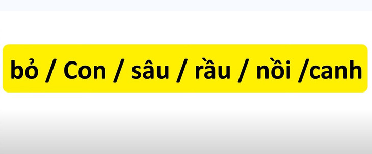 Thử tài tiếng Việt: Sắp xếp các từ sau thành câu có nghĩa- Ảnh 3.