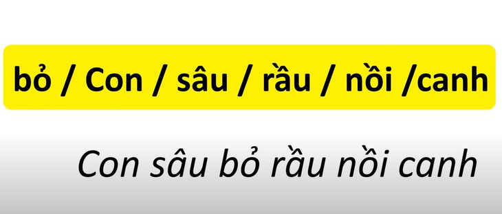 Thử tài tiếng Việt: Sắp xếp các từ sau thành câu có nghĩa- Ảnh 4.