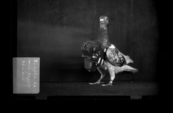 Chiếc máy ảnh dành cho chim bồ câu đầu tiên do nhà phát minh người Đức Julius Neubronner tạo ra vào năm 1907 - Ảnh: RORHOF/STADTARCHIV KRONBERG/NATIONAL GEOGRAPHIC