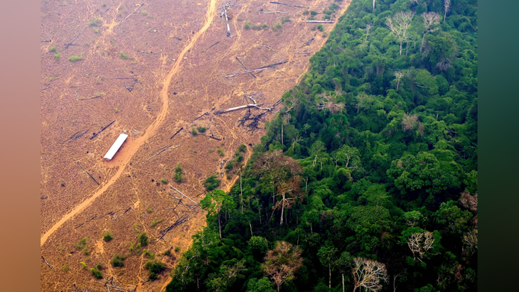 Rừng nhiệt đới Amazon ở vùng Labrea, bang Amazonas, miền bắc Brazil, bị tàn phá do cháy và chặt phá, ảnh chụp ngày 2-9-2022 - Ảnh: Douglas Magno/AFP/Getty Images