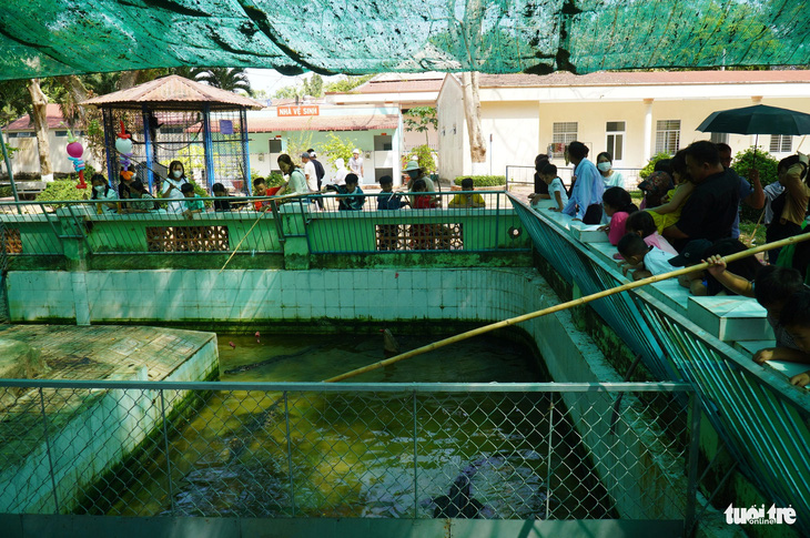 Du khách tập trung tại hồ nôi cá sấu để câu