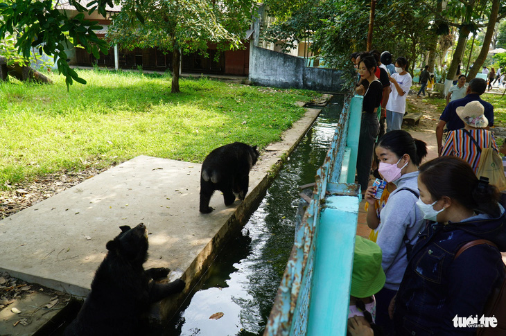 Du khách xem gấu trong trại rắn Đồng Tâm