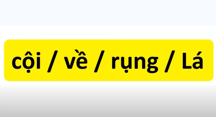 Thử tài tiếng Việt: sắp xếp các từ sau thành câu có nghĩa (P4)- Ảnh 3.