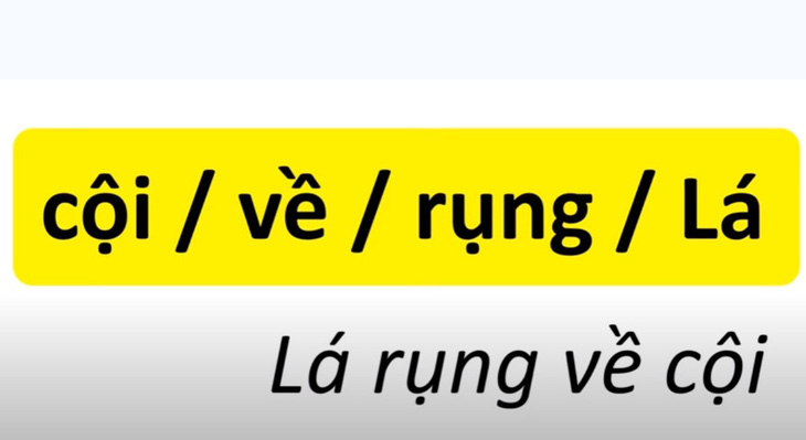 Thử tài tiếng Việt: sắp xếp các từ sau thành câu có nghĩa (P4)- Ảnh 4.