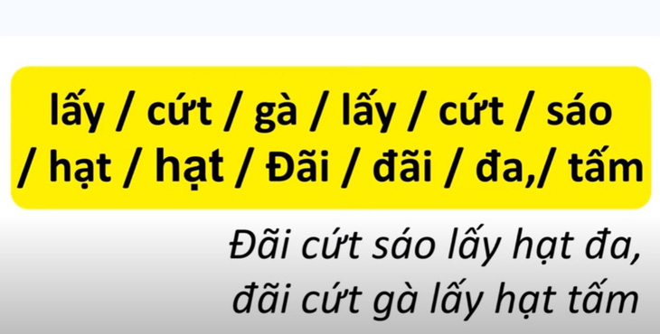 Thử tài tiếng Việt: sắp xếp các từ sau thành câu có nghĩa (P4)- Ảnh 6.