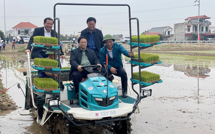 Thủ tướng xuống đồng cấy lúa, thu hoạch cà rốt cùng nông dân