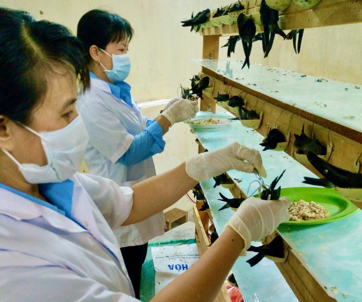 Các kỹ thuật viên tại Trung tâm Nghiên cứu khoa học cho chim yến ăn - Ảnh: MINH CHIẾN