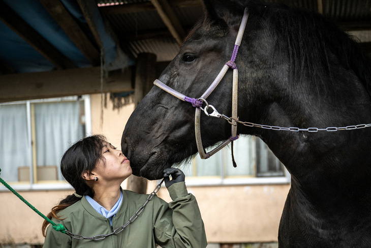 Chuyên viên Yuno Goto vuốt ve chú ngựa tên Horai - Ảnh: AFP
