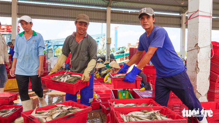 Ở cảng Tắc Cậu (huyện Châu Thành) mọi người nhộn nhịp vận chuyển hàng tấn cá ngân, cá sòng để kịp ra chợ bán - Ảnh: CHÍ CÔNG