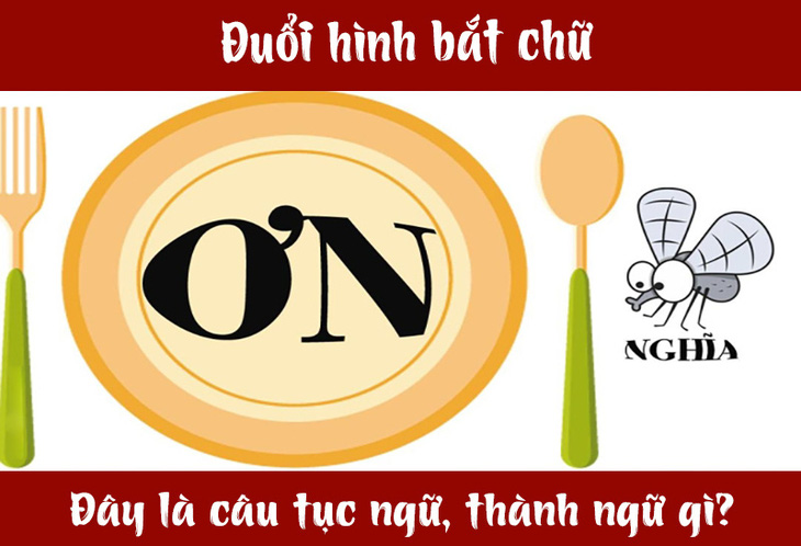 IQ cao có đoán được đây là câu tục ngữ, thành ngữ gì? (P39)- Ảnh 3.