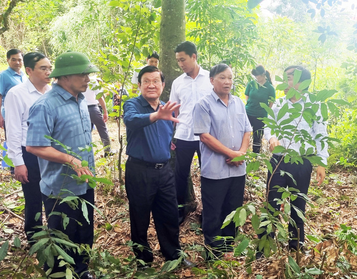 Nguyên Chủ tịch nước Trương Tấn Sang khảo sát thực địa Tổng Chúp vào tháng 6-2023 - Ảnh: L.Đ.DỤC