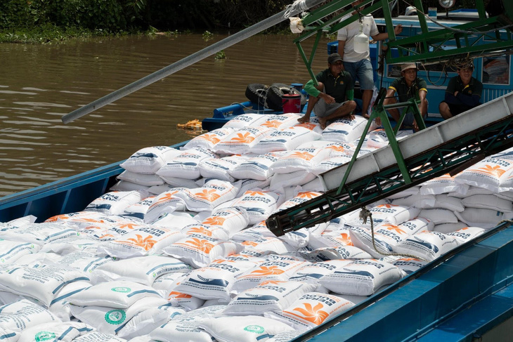 Một doanh nghiệp xuất khẩu gạo chuẩn bị đơn hàng trong ngày khai xuân, sau khi trúng gói thầu 500.000 tấn sang Indonesia - Ảnh: L.T.