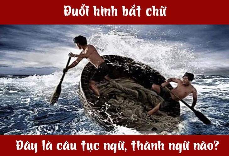 Câu tục ngữ, thành ngữ 'khó nhằn' này là gì? (P54)- Ảnh 1.