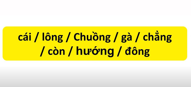 Thử tài tiếng Việt: Sắp xếp các từ sau thành câu có nghĩa (P9)- Ảnh 1.