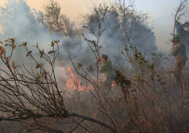 Các lực lượng tham gia chữa cháy rừng - Ảnh: Phạm Hồ Trúc/Cổng TTĐT Lào Cai