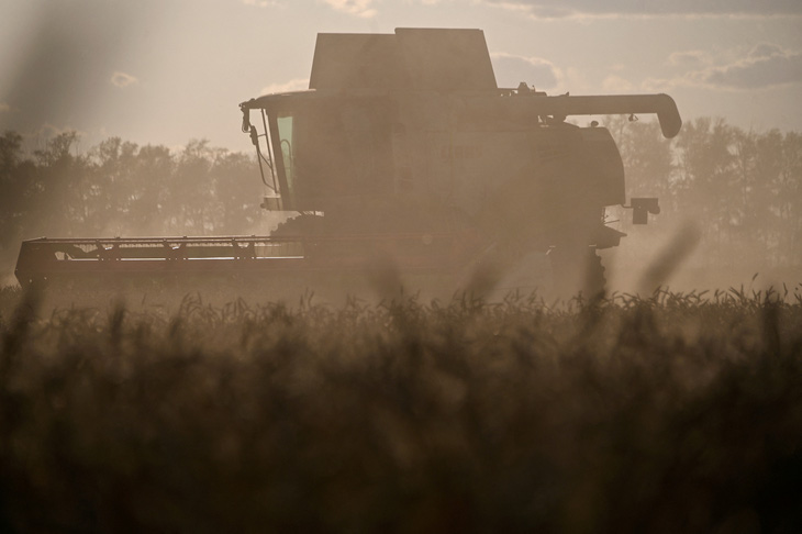 Thu hoạch lúa mì trên cánh đồng ở quận Cherlaksky thuộc vùng Omsk, Nga, hồi tháng 9-2023 - Ảnh: REUTERS