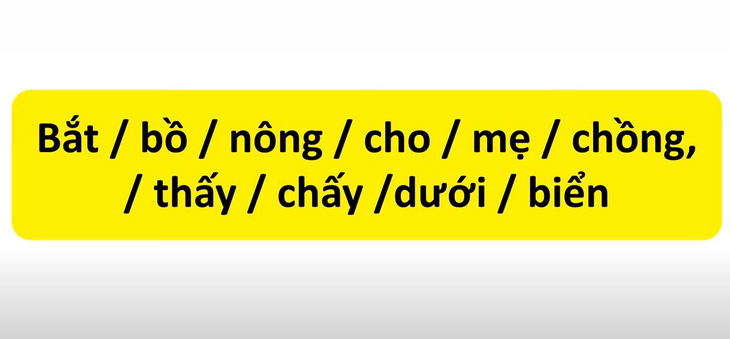 Thử tài tiếng Việt: Sắp xếp các từ sau thành câu có nghĩa (P11)- Ảnh 1.