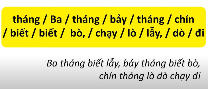Thử tài tiếng Việt: Sắp xếp các từ sau thành câu có nghĩa (P11)- Ảnh 4.