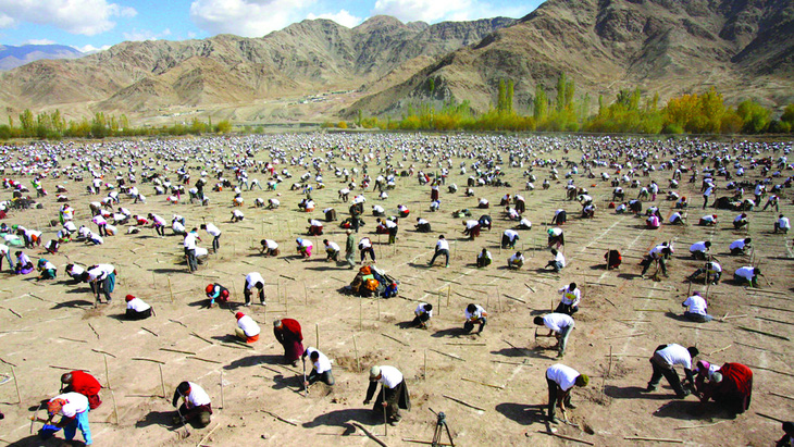 Hơn 9.000 người ở Leh, Ấn Độ trồng hơn 50.000 cây non trong vòng chưa đầy một giờ vào ngày 10-10-2010. Ảnh: Drukpa Publications