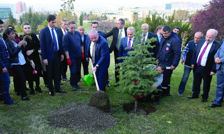 Chủ tịch Quốc hội Thổ Nhĩ Kỳ, Mustafa Şentop, trồng cây ở Ankara nhân Ngày trồng rừng quốc gia 11-11-2019.  Ảnh: Anadolu/Getty Images