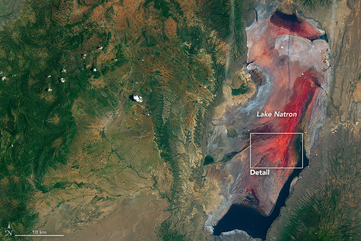 Hình ảnh chụp hồ Natron bằng vệ tinh - Ảnh: NASA