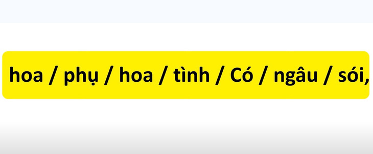 Thử tài tiếng Việt: Sắp xếp các từ sau thành câu có nghĩa (P12)- Ảnh 3.