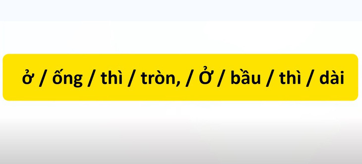 Thử tài tiếng Việt: Sắp xếp các từ sau thành câu có nghĩa (P13)- Ảnh 1.