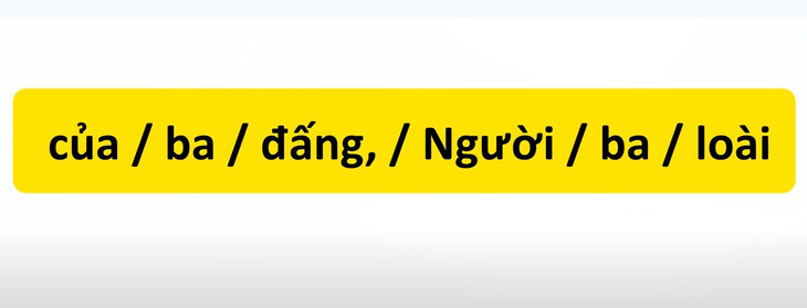 Thử tài tiếng Việt: Sắp xếp các từ sau thành câu có nghĩa (P13)- Ảnh 3.