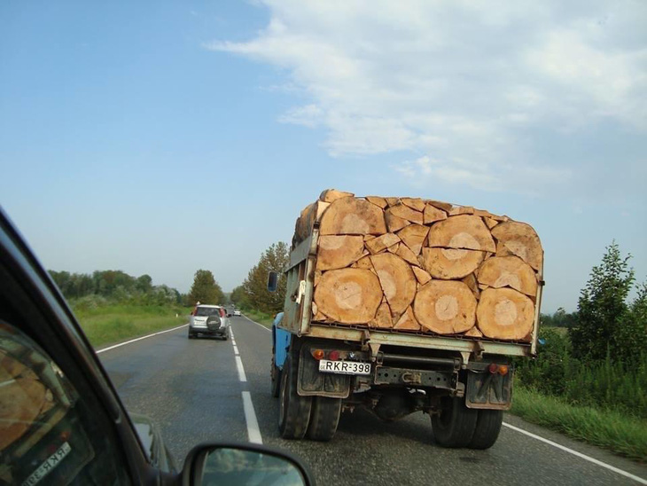 Nhìn phát biết ngay người gọn gàng.