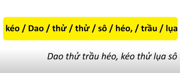 Thử tài tiếng Việt: Sắp xếp các từ sau thành câu có nghĩa (P14)- Ảnh 2.