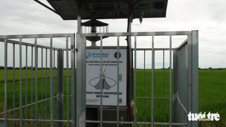 Hệ thống giám sát côn trùng thông minh tại xã Mỹ Đông, huyện Tháp Mười, tỉnh Đồng Tháp - Ảnh: ĐẶNG TUYẾT