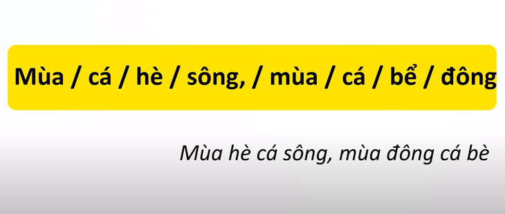 Thử tài tiếng Việt: Sắp xếp các từ sau thành câu có nghĩa (P17)- Ảnh 4.