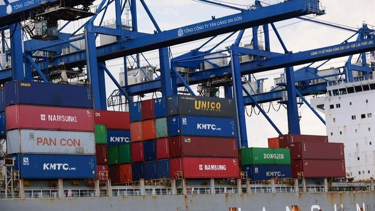 Ngoài cước vận chuyển, các hãng tàu ngoại áp đặt nhiều phụ phí giá cao khiến hàng hóa xuất nhập khẩu giảm cạnh tranh - Ảnh: Q.ĐỊNH