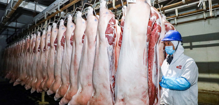 Giá thịt heo giảm, ít người mua khiến những nhà chăn nuôi và cung cấp thịt khó khăn - Ảnh: AFP