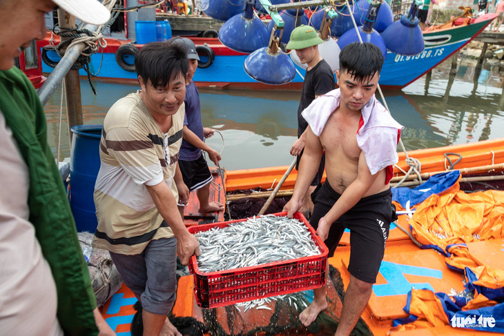 Ngư dân hớn hở vì được cá cơm  - Ảnh: HOÀNG TÁO