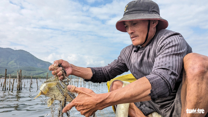 Những con cá đặc sản vùng đầm phá Tam Giang được vợ chồng anh Nguyễn Văn Hiệp tranh thủ những ngày cuối năm cố gắng đánh bắt để kiếm tiền sắm Tết - Ảnh: NHẬT LINH
