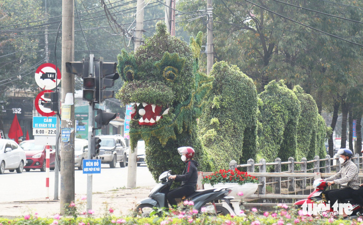 Cây cảnh hình rồng tại TP Vinh đã được chỉnh sửa sau khi nhận nhiều ý kiến trái chiều từ dư luận - Ảnh: DOÃN HÒA