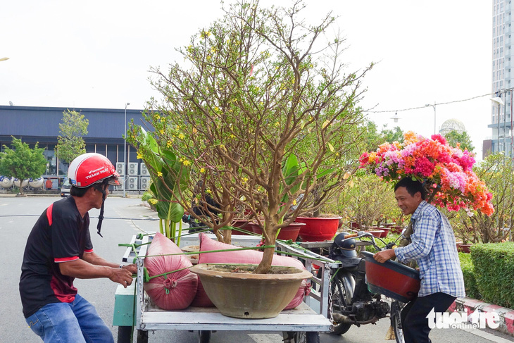 Chở hoa thuê mùa xuân sẽ giúp cho người lao động nghèo ở Kiên Giang có thêm tiền mua bánh mứt, quần áo mới cho con ăn Tết - Ảnh: CHÍ CÔNG