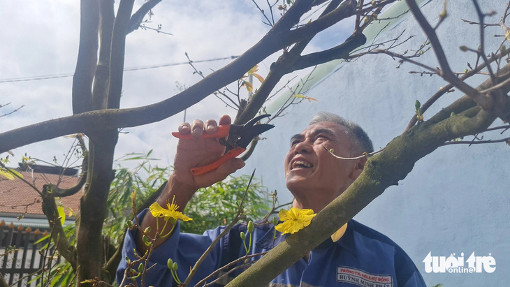 Ông Sơn chăm sóc cây mai đón Tết trong ngôi nhà mới - Ảnh: LÂM THIÊN