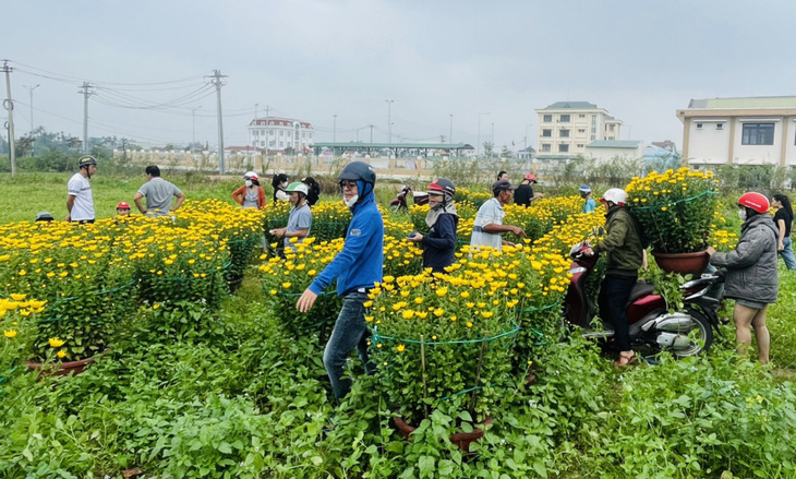 Sáng 29 Tết, nhiều người đến ruộng hoa, giải cứu 900 chậu hoa, giúp ba người nông dân có tiền sắm Tết - Ảnh: N.M.