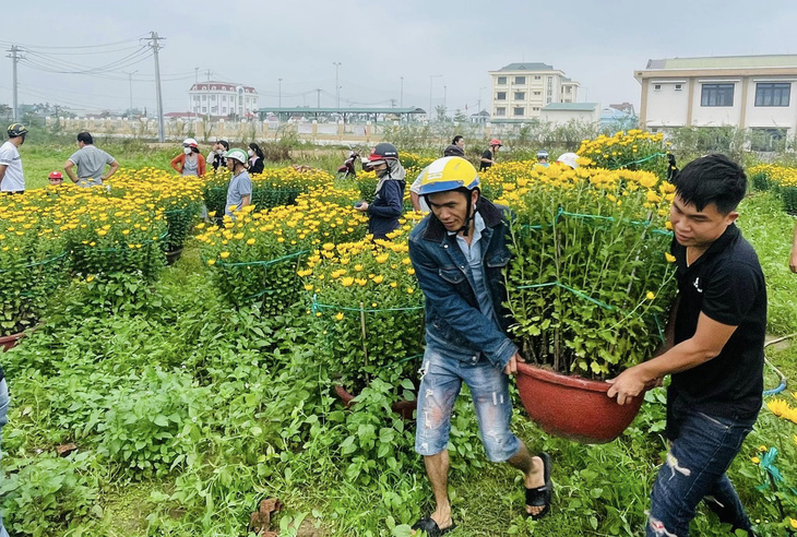Cộng đồng chung tay giải cứu hoa cho ba người nông dân khi Tết đã cận kề - Ảnh: N.M.