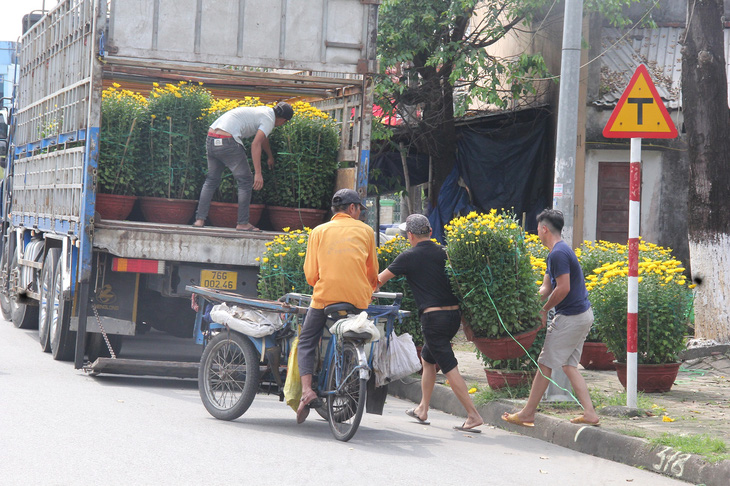 Một chủ bán hoa cúc cuối đường Phạm Văn Đồng đã thuê xe chở hoa cúc đi đến nơi khác bán, mong gỡ vốn nhập hoa - Ảnh: TRẦN MAI