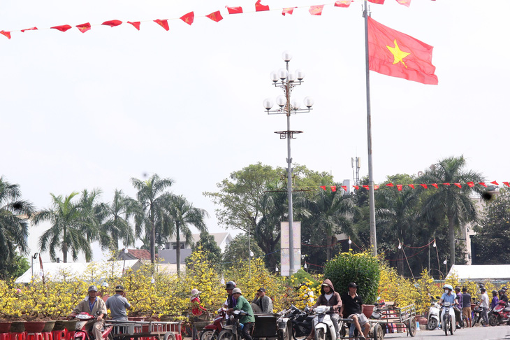 Hoa mai từ thủ phủ mai Bình Định ra Quảng Ngãi bán Tết đang thất thu khi vắng khách - Ảnh: TRẦN MAI