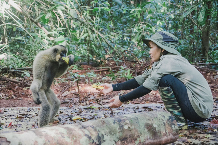 Động vật hoang dã trong Vườn quốc gia Bù Gia Mập, tỉnh Bình Phước - Ảnh: NGUYỄN THÀNH NAM