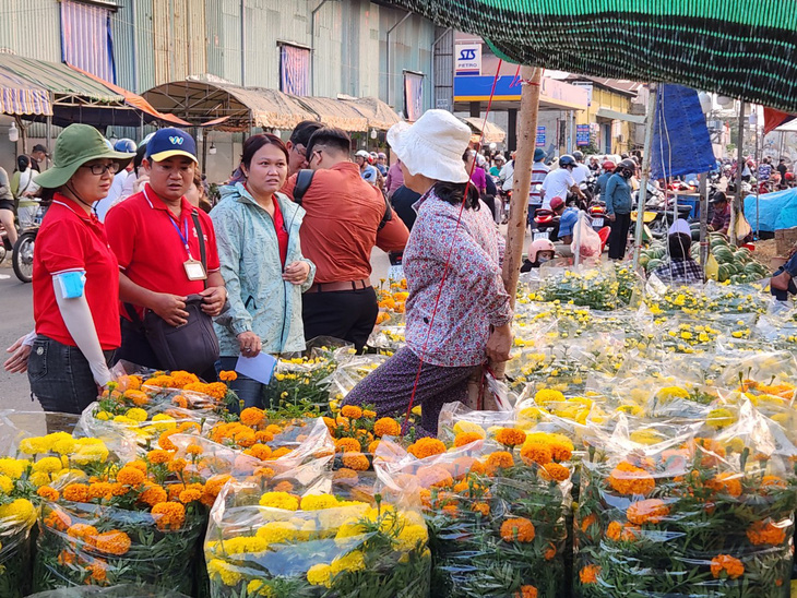 Đội thu mua hoa của Sở Du lịch TP và đại diện quận 8 đi đánh giá, thống kê số hoa chưa bán hết của tiểu thương.