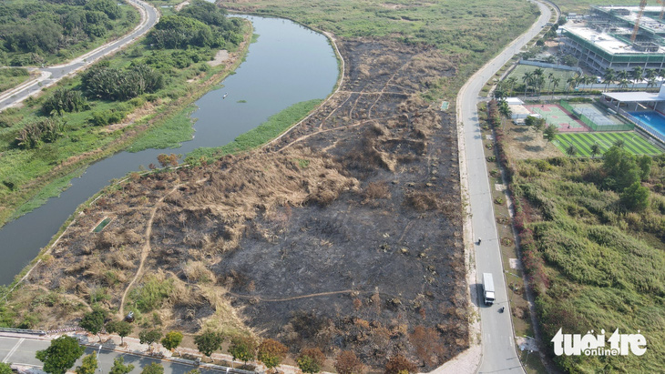 Bãi đất trống rộng hàng chục ngàn m2 được quy hoạch làm dự án bị cháy rụi một phần, trong đó có hàng trăm cây xanh cũng bị cháy - Ảnh: MINH HÒA